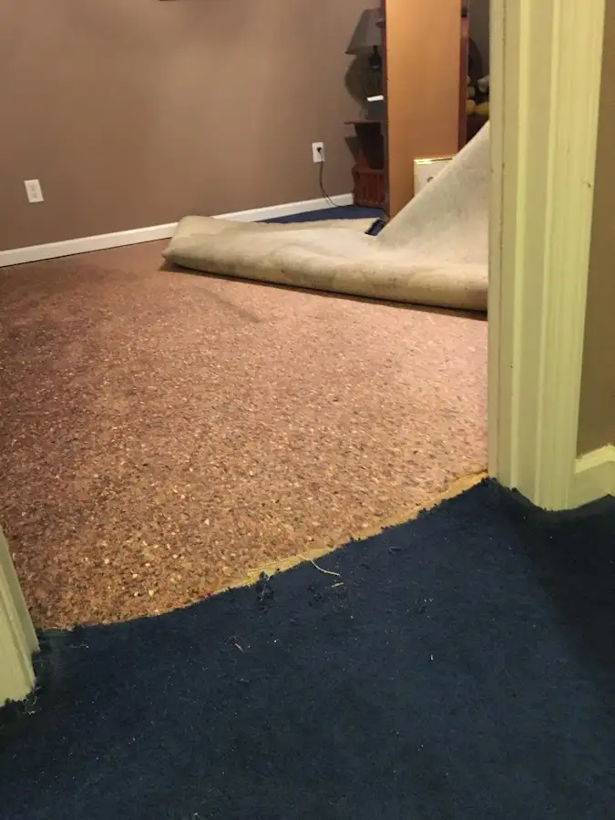 Carpet pad removal revealing water damage during Drying & Dehumidification in Lake Alfred